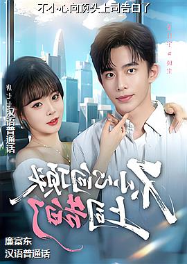 ��С����ͷ��˾�����