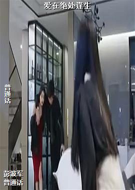 ���ߣ���ɫ«��è��ͷ��