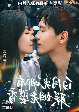 ���¹���������������