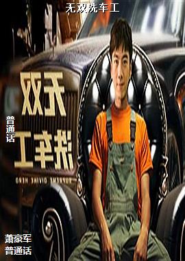 ��˫ϴ����