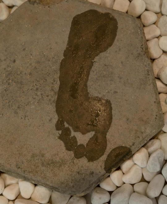 xiao7������̳